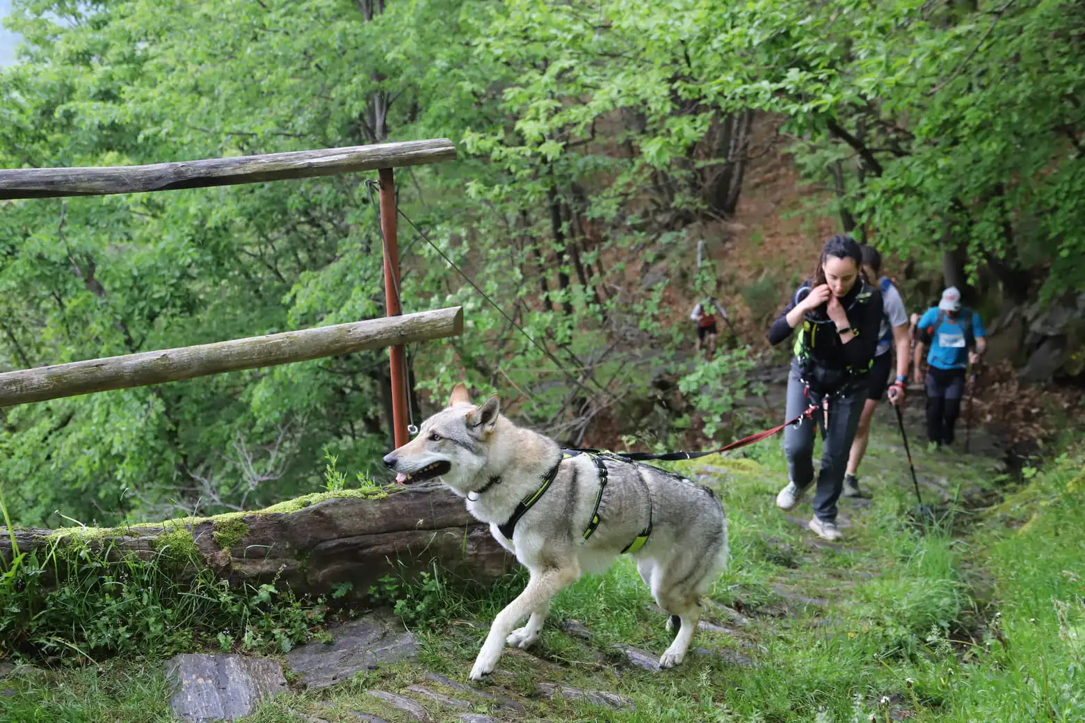 Foto di copertina 0 - Beura Vertical 2025 - Foto di Vanni Besutti